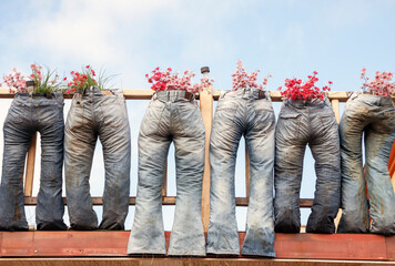 Funny decoration with group of old blue jeans used as flower pot