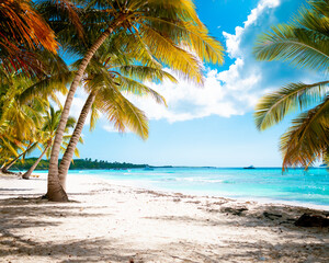 Vacation summer holidays background wallpaper - sunny tropical Caribbean paradise beach with white sand in Seychelles Praslin island Thailand style with palms