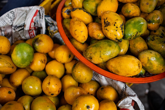 Mango Season