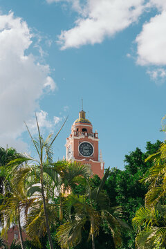 Clock tower in tropical region.