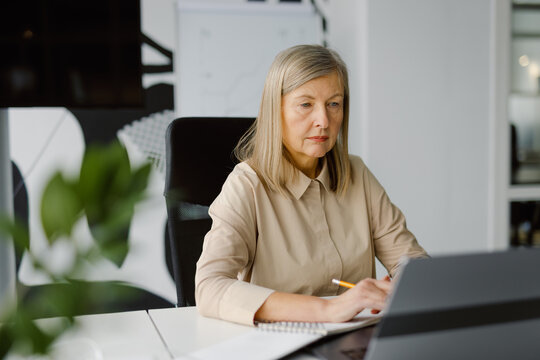 Maturity business concentration laptop telework career 