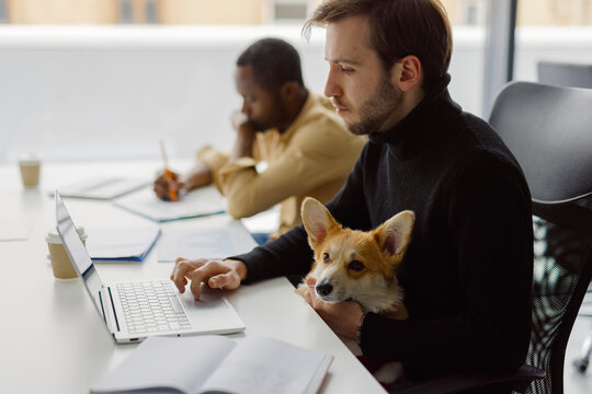 Employee pet computer co-working office together telework 