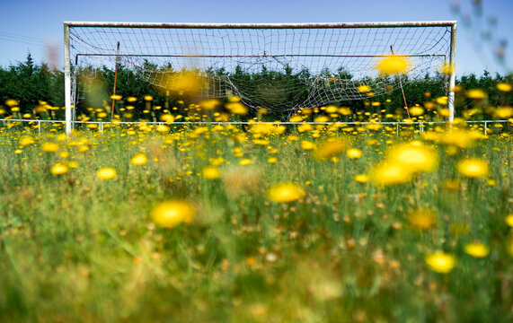 Abandoned soccer goal