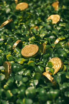 Coins on grass