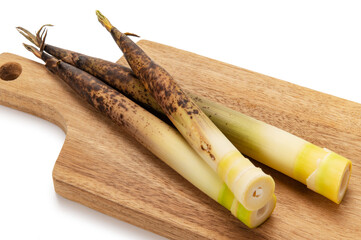 真竹、タケノコ