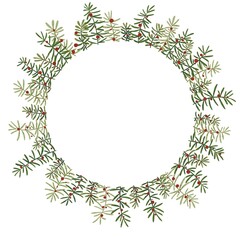 Pine leaves with red berry wreath illustration for decoration on Christmas holiday event and winter seasonal.