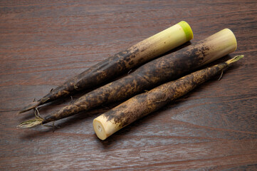 真竹、タケノコ