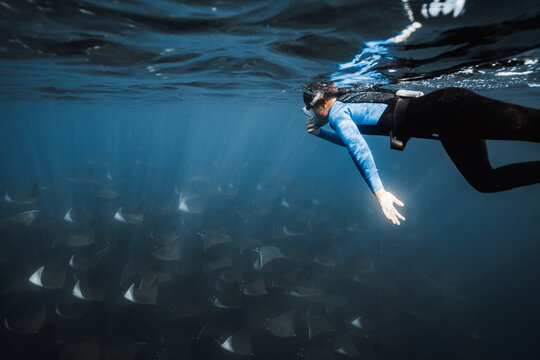 snorkeling with rays