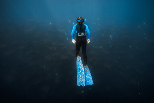 immersing in a mobula pod