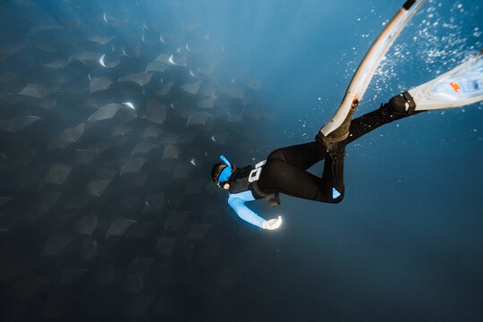 experiencing mobula rays