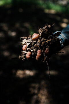 A woman holding a handful of plant material and soil