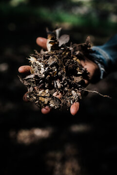 A woman holding a handful of plant material and soil