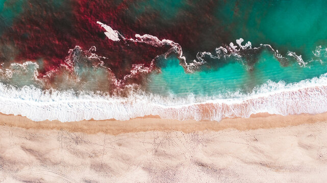 blood red tide on shore