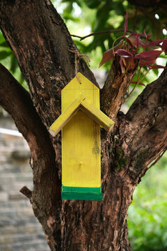 Closeup bird feeder hanging on a tree