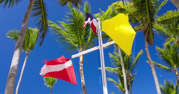 Waving flag of Dominican Republic, safety yellow banner and scuba diving red flag on wind on blue sky with clouds and palm tree leaves as background