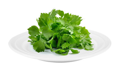 Fototapeta premium celery in plate on transparent png