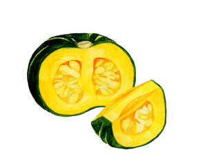 半分＆1/4にカットした西洋かぼちゃ　夏野菜の手描き水彩イラスト素材