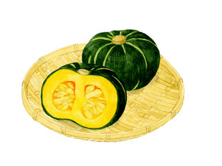竹ざるに乗った西洋かぼちゃ　夏野菜の手描き水彩イラスト素材