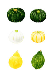 食べられるカボチャのセット　夏野菜の手描き水彩イラスト素材集