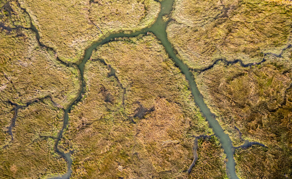 Delta River