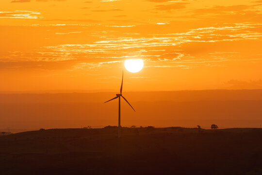 Sunset landscape. 