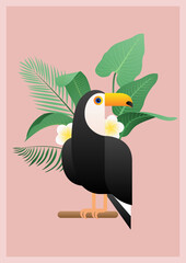 Tropical vector illustration with a toco toucan and plants.