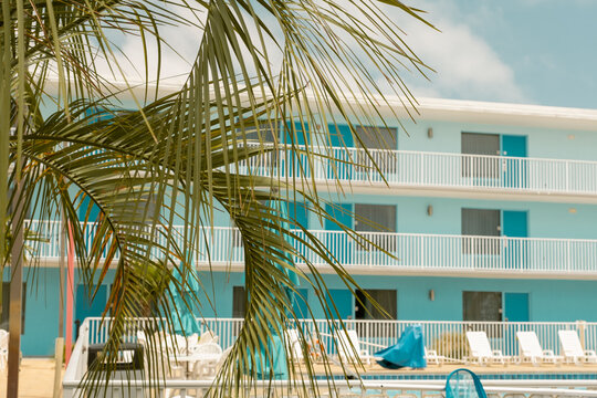 Motel Exterior with Palm Tree and Blue Sky