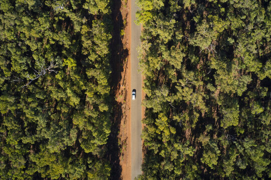 Aerial view of a car driving through forest