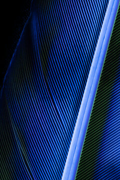 Abstract blue pattern in UV light