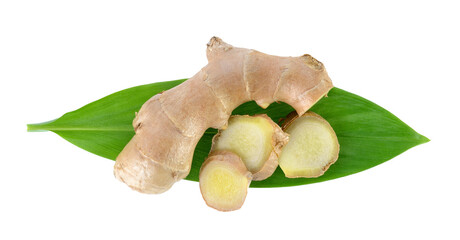 ginger root slice and leaf on transparent png