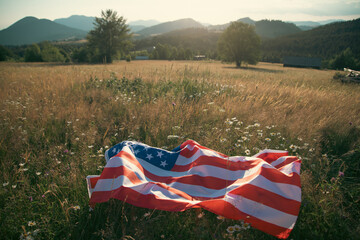 USA flag on the meadow