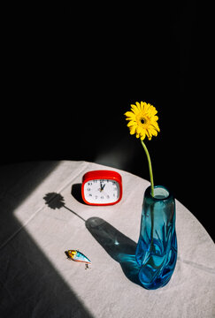 Still life with a clock and a gerbera.
