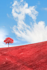 Fantasy landscape. Autumn lonely tree on a red background.