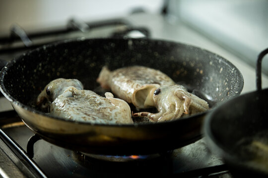 Cuttlefish cooking in a pan