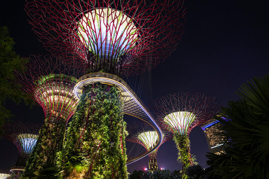 Supertrees at Gardens by the Bay in Singapore