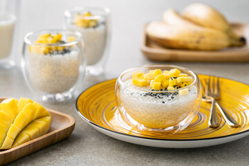 Vegan Tapioca Pudding. Made from Tapioca Pearls, Coconut and Mango