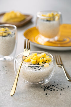 Vegan Tapioca Pudding. Made from Tapioca Pearls, Coconut and Mango
