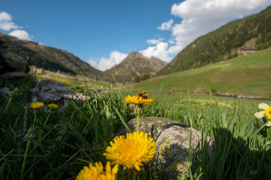 La Vall d'incles