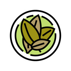 bay leaf cosmetic plant color icon vector. bay leaf cosmetic plant sign. isolated symbol illustration