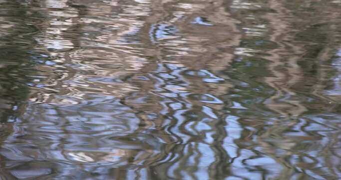 A slow motion of water surface on the pond