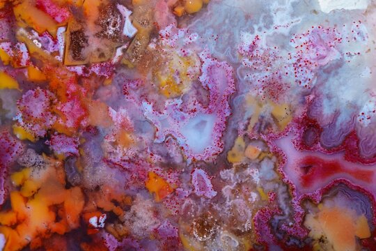 coral skeleton fossil crystal jade agate texture detail