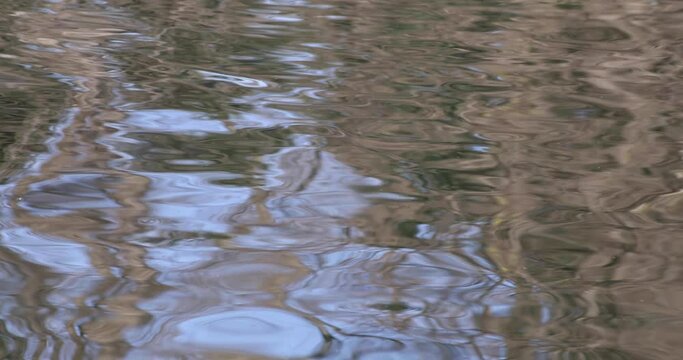 A slow motion of water surface on the pond