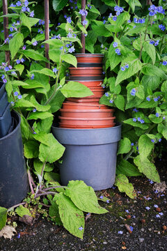 Plastic Flower Pots