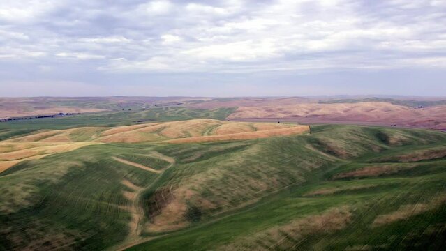 A drone pans the landscape of the wheat-growing Palouse region of Eastern Washington 4K 60FPS