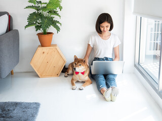 Asian young freelance girl productive work at home lifestyle while using computer device with smart handsome dog pet lie down on the floor in living room