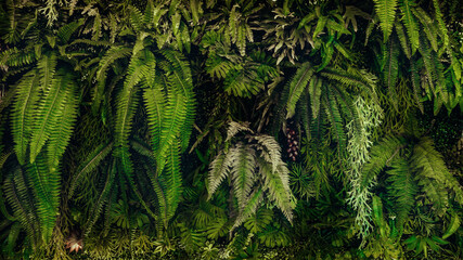 Herb wall, plant wall, natural green wallpaper and background. nature wall. Nature background of green forest