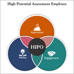 High Potential assessment employee. Infographic template with icons