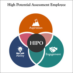 High Potential assessment employee. Infographic template with icons