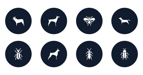 insects filled icons set. flat filled icons sheet included french bulldog, doberman, psocoptera, american staffordshire terrier, golden ground beetle, boxer, wharf borer, red soldier beetle vector.