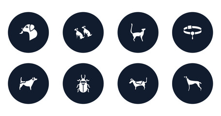 dog and training filled icons set. flat filled icons sheet included dog licking, dogs, bengal cat, pet collar, jack russel terrier, pollen beetle, jack russell terrier, greyhound vector.